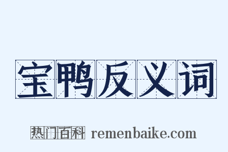 宝鸭反义词是什么意思的图片